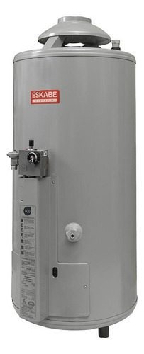 Termotanque Eskabe Acquapiu A Gas 800l A5 Alta Recuperación Gris Plata